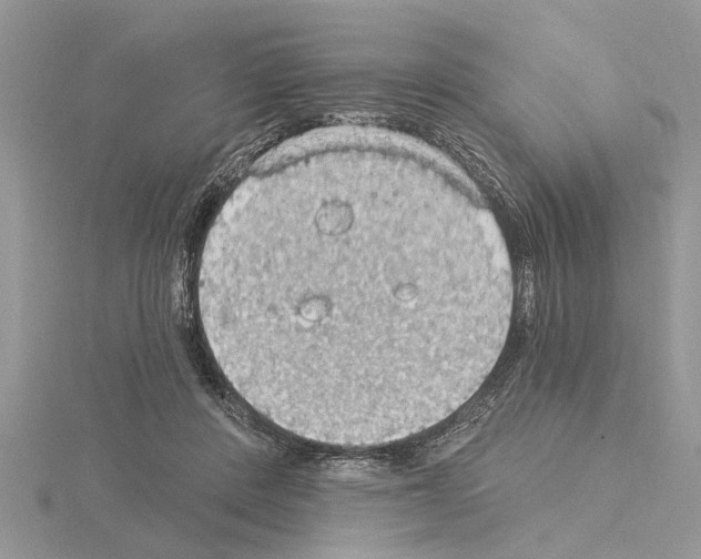 X0000115030408200912071053