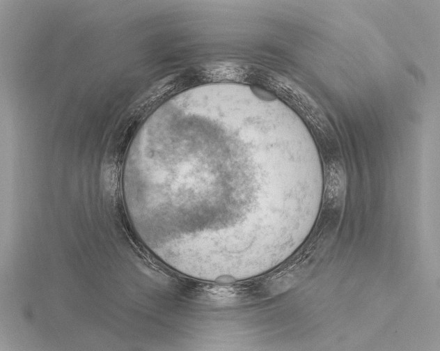 X0000115030409200912071053