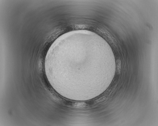 X0000115030410200912071053