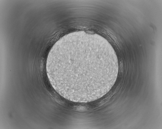 X0000115030412200912071053