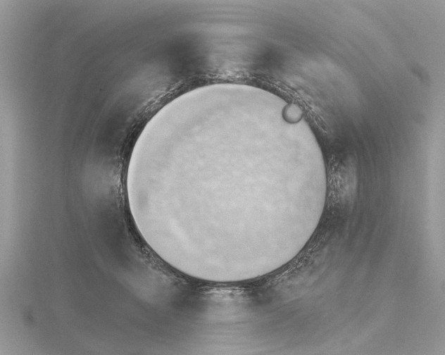 X0000115030415200912071052