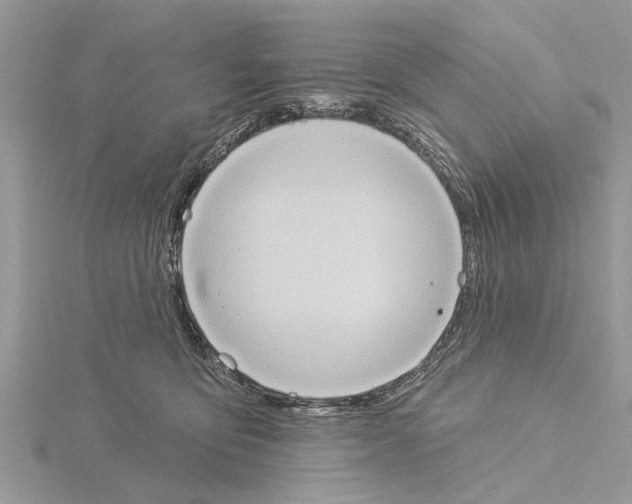 X0000115030419200912071052