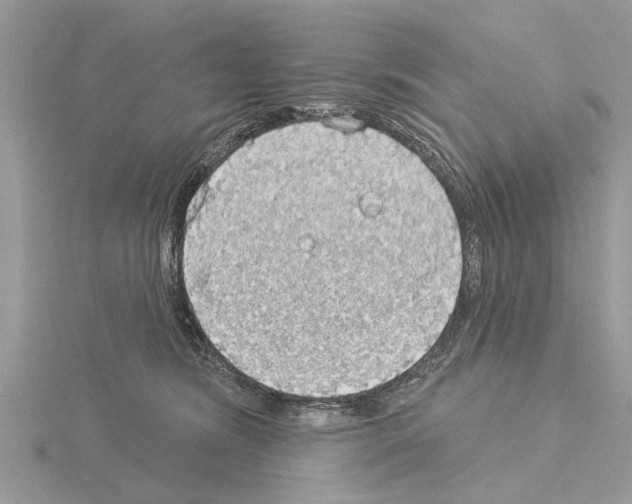 X0000115030420200912071052