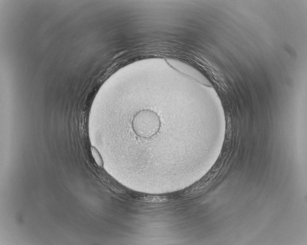 X0000115030421200912071052