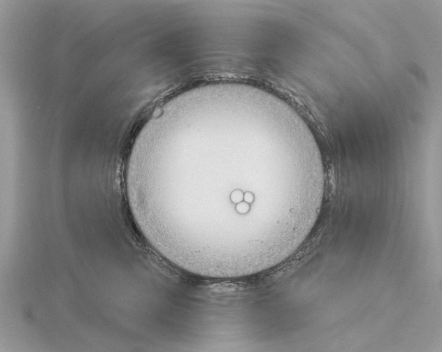 X0000115030423200912071052