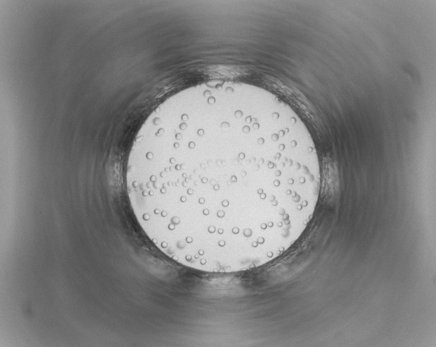 X0000115030426200912071052