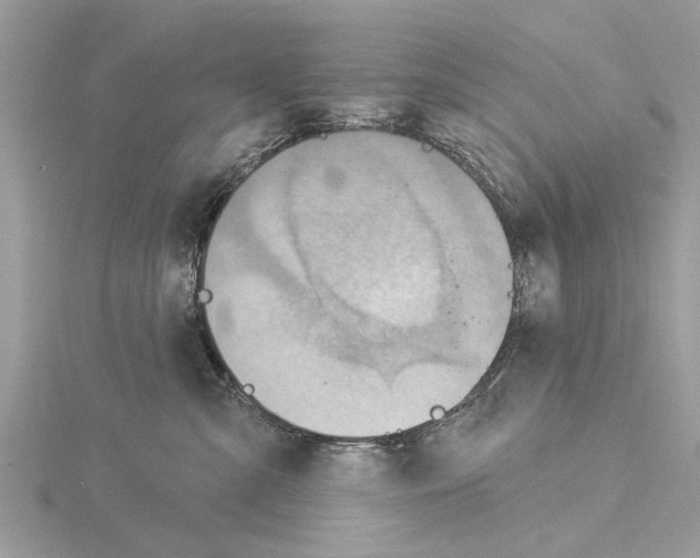 X0000115030427200912071052