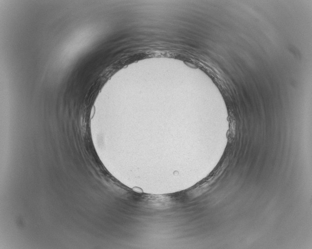 X0000115030429200912071052