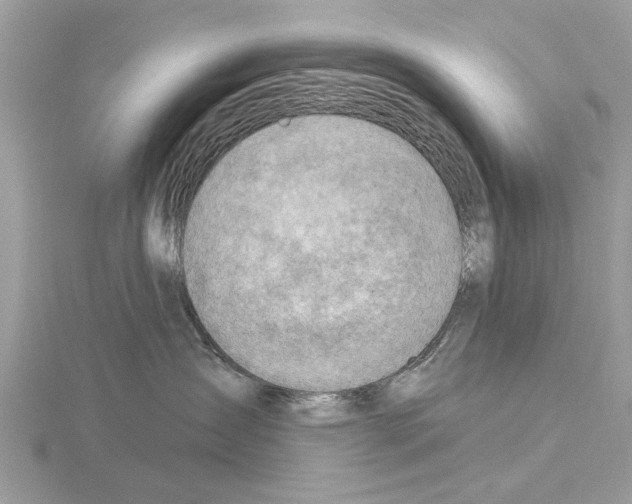 X0000115030431200912071052