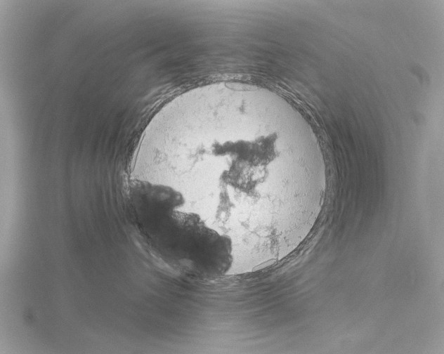 X0000115030432200912071052