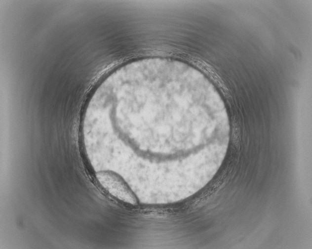 X0000115030434200912071052