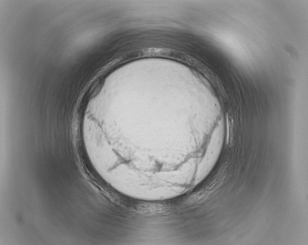 X0000115030435200912071052