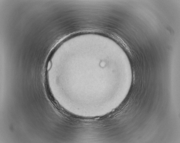 X0000115030436200912071052