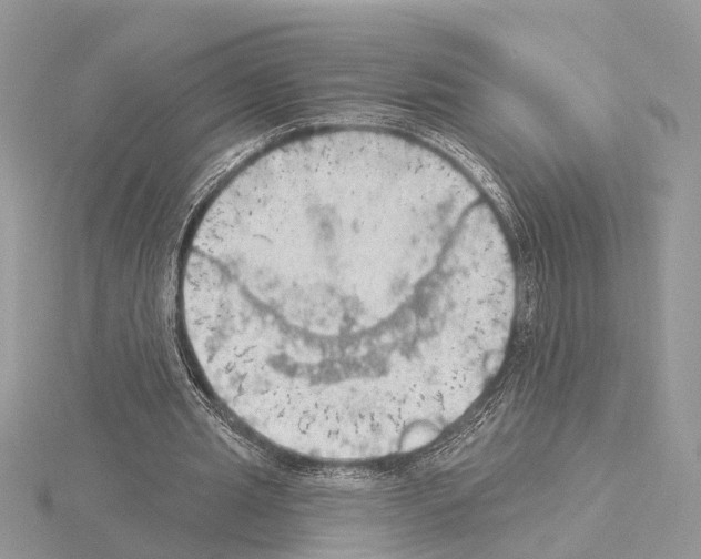 X0000115030437200912071052