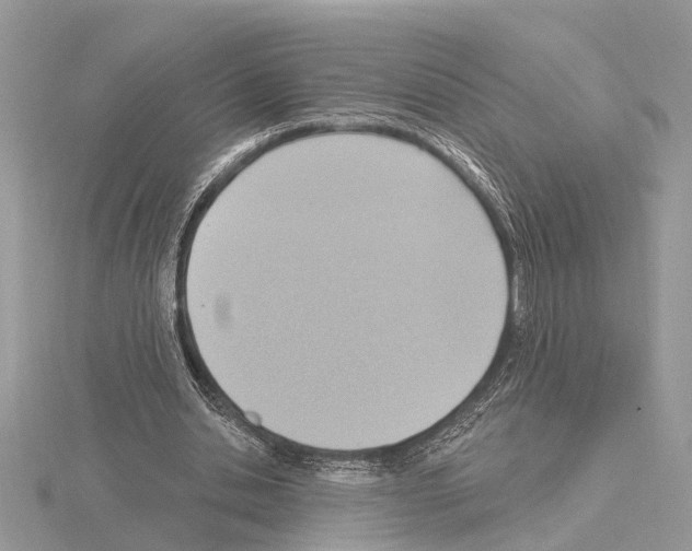 X0000115030438200912071052