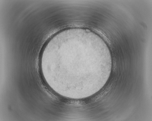 X0000115030439200912071052