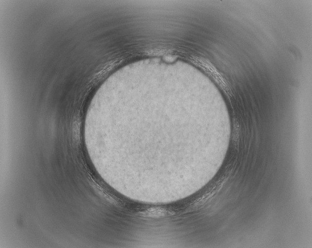 X0000115030441200912071052