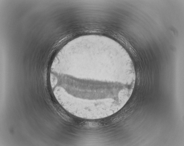 X0000115030442200912071052