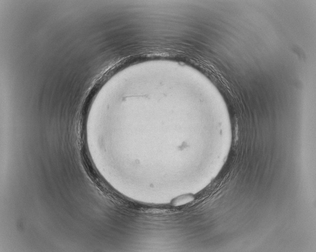 X0000115030444200912071052