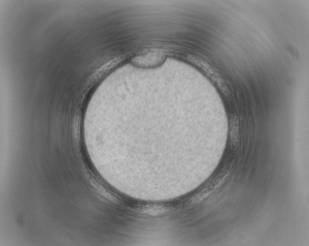 X0000115030445200912071052