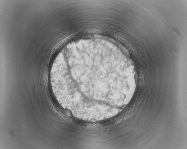 X0000115030446200912071052