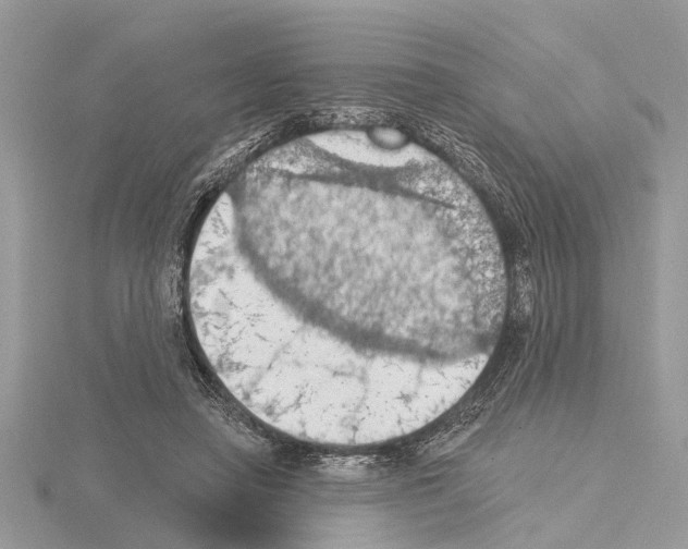 X0000115030450200912071052