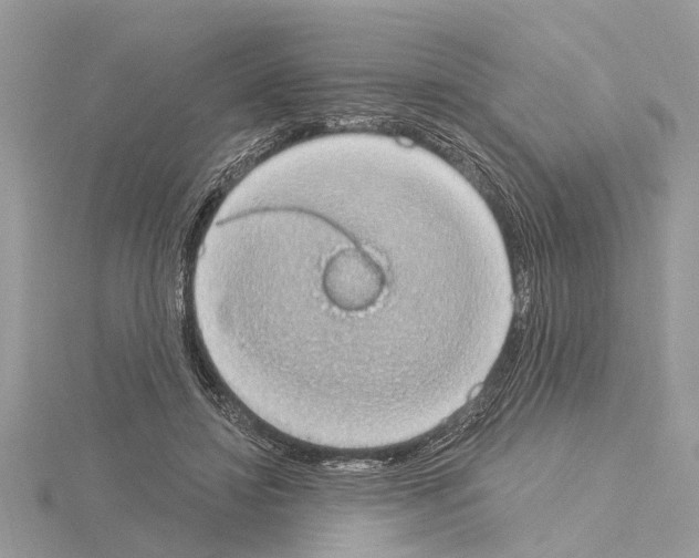 X0000115030452200912071052