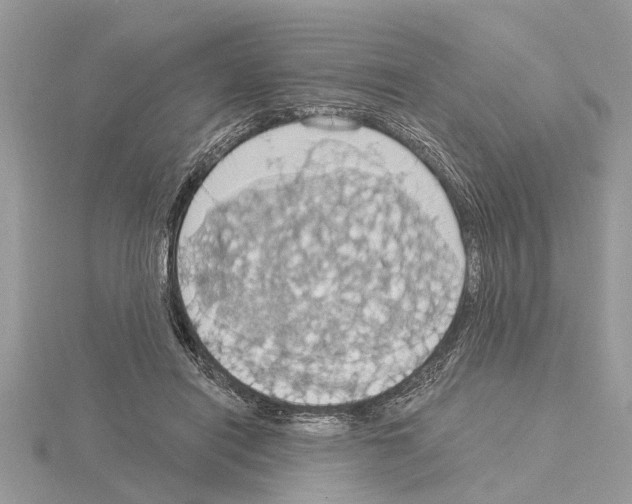 X0000115030454200912071052