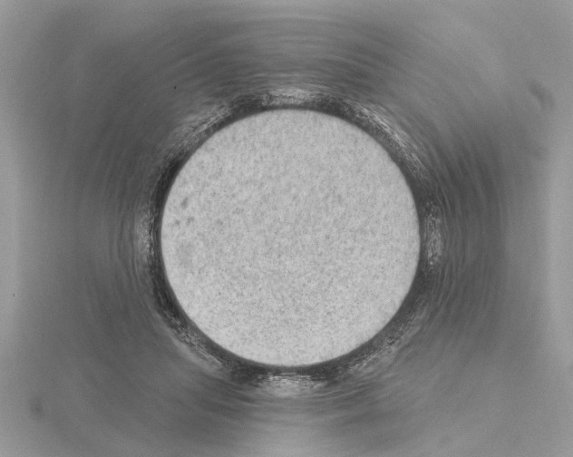 X0000115030455200912071052