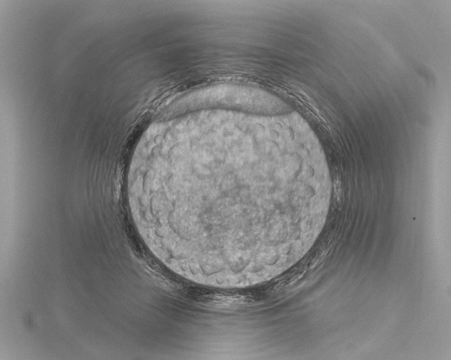 X0000115030458200912071052