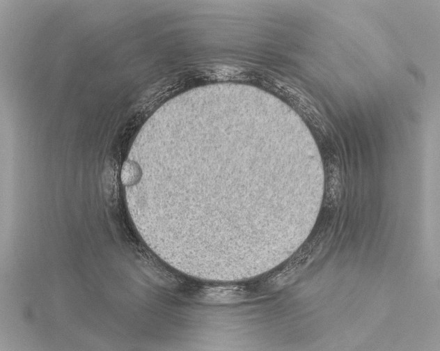 X0000115030461200912071052