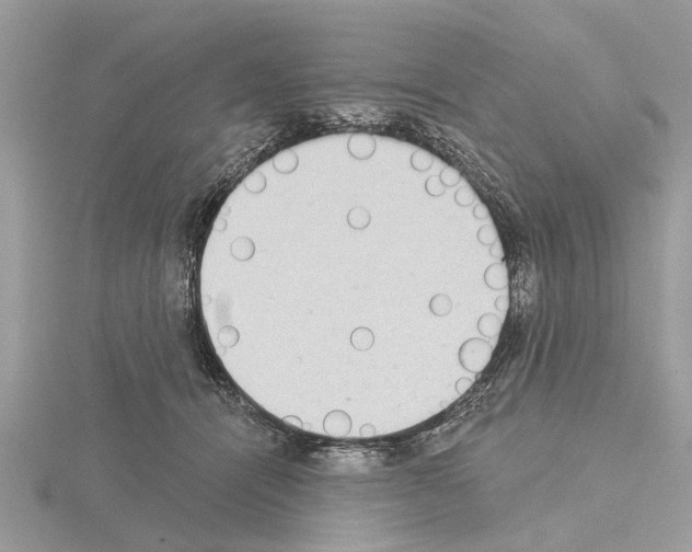 X0000115030464200912071052