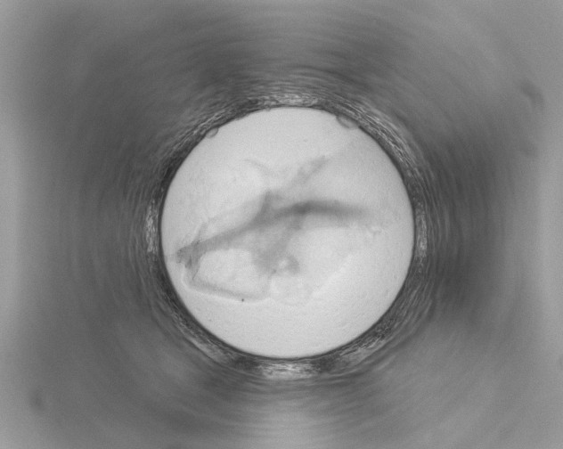 X0000115030465200912071052