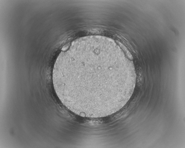 X0000115030466200912071052