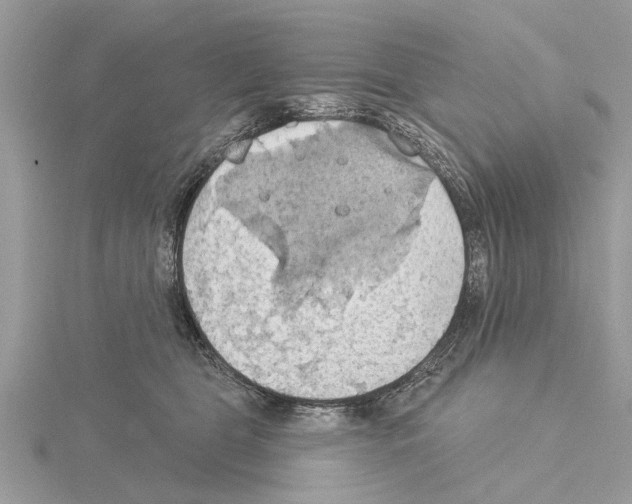 X0000115030469200912071052