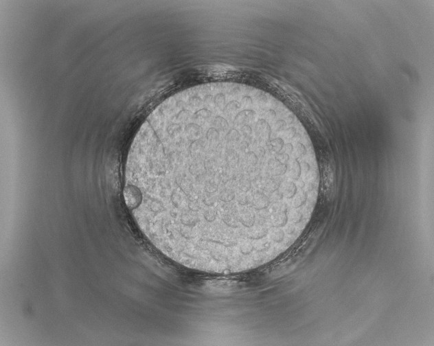 X0000115030470200912071052