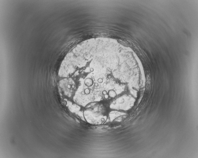 X0000115030474200912071052