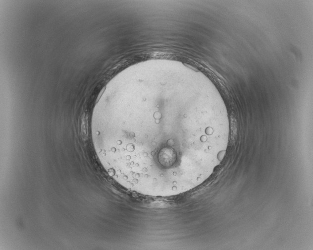 X0000115030475200912071052