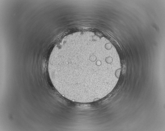 X0000115030476200912071052