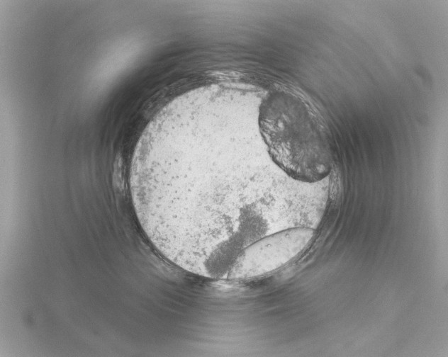 X0000115030477200912071052