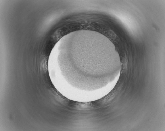 X0000115030479200912071052