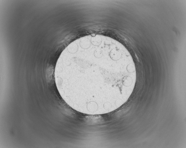 X0000115030480200912071052