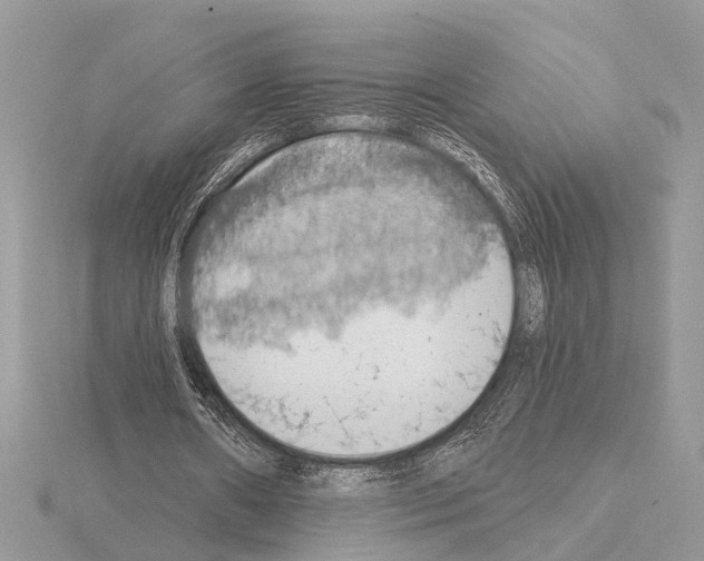 X0000115030482200912071052