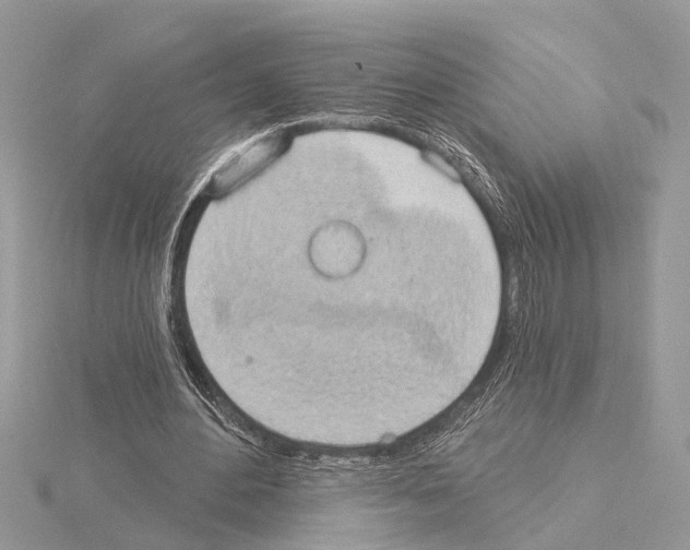 X0000115030484200912071052