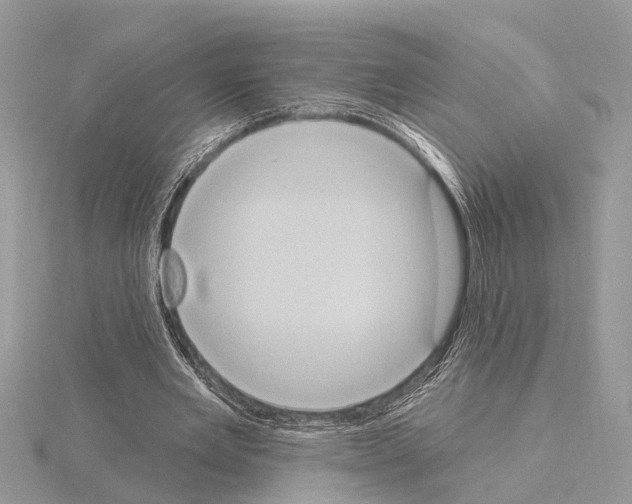 X0000115030485200912071052