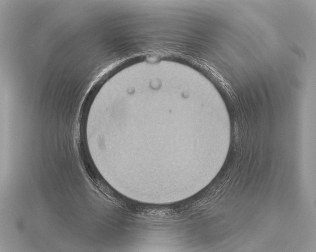 X0000115030488200912071052