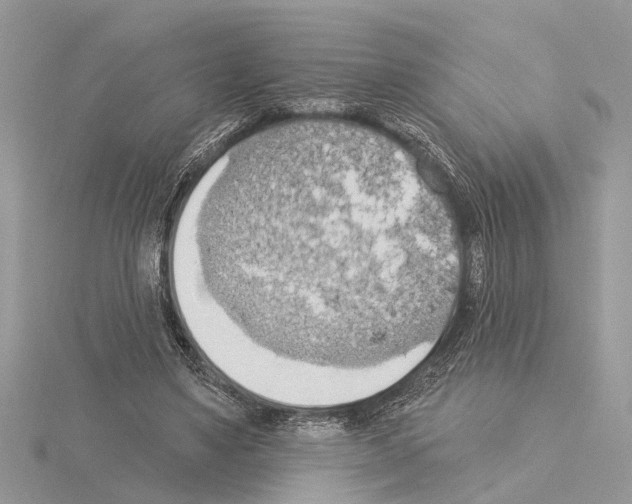 X0000115030491200912071051