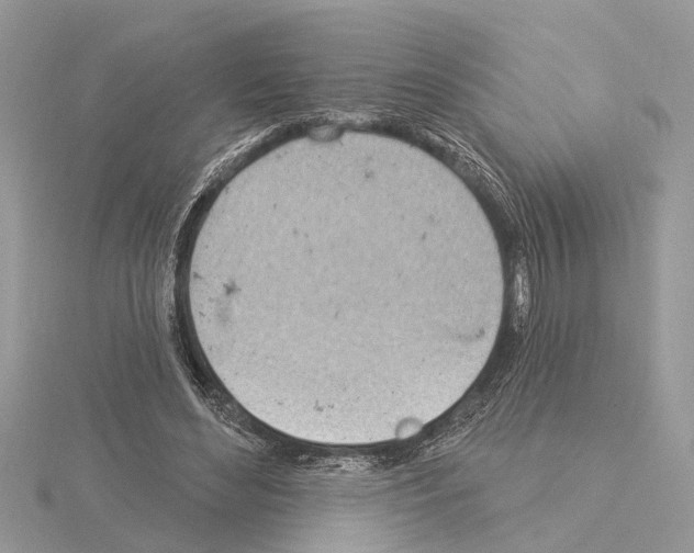 X0000115030492200912071051