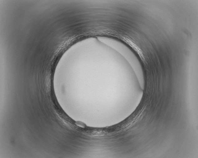 X0000115030493200912071051