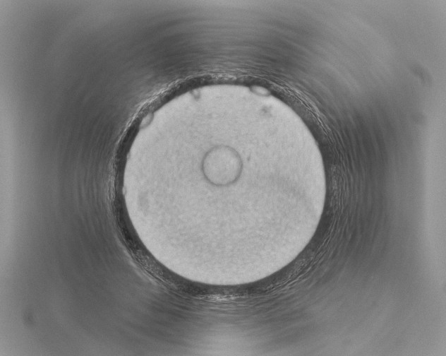 X0000115030496200912071051